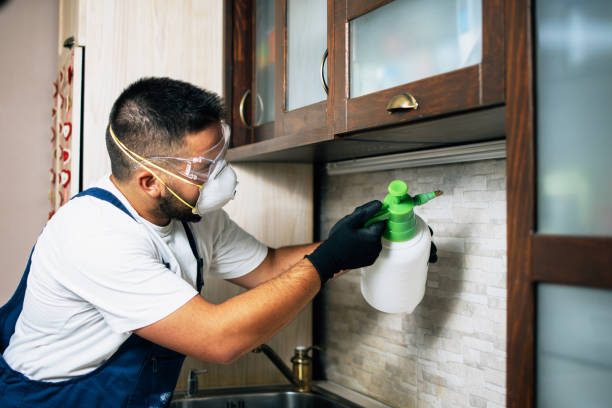 Best Wasp Removal Services  in Great Falls, MT