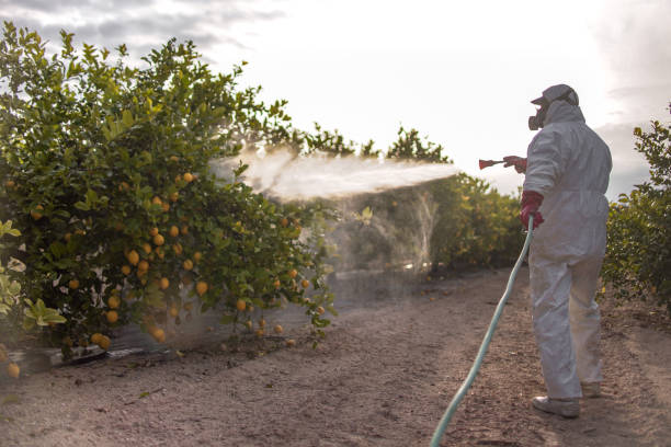 Best Pest Inspection Near Me  in Great Falls, MT