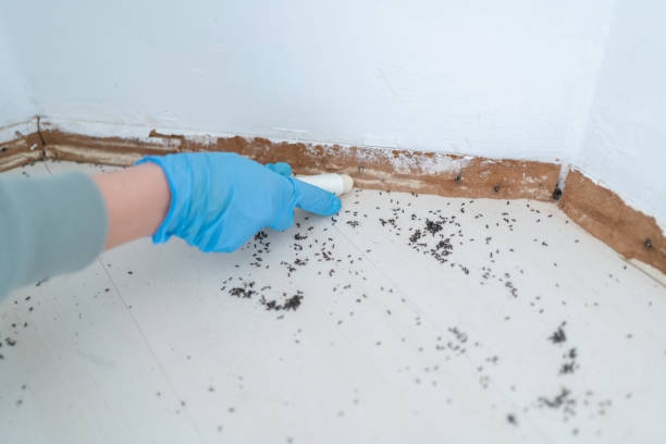 Best Pest Control Near Me in Great Falls, MT